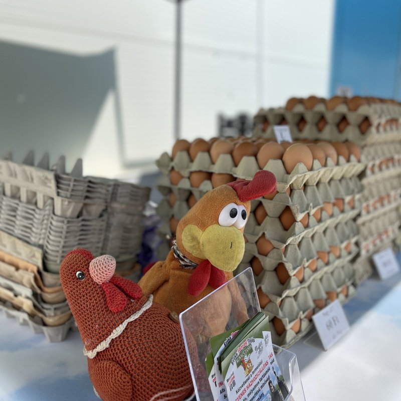 Tama termelői piac 38